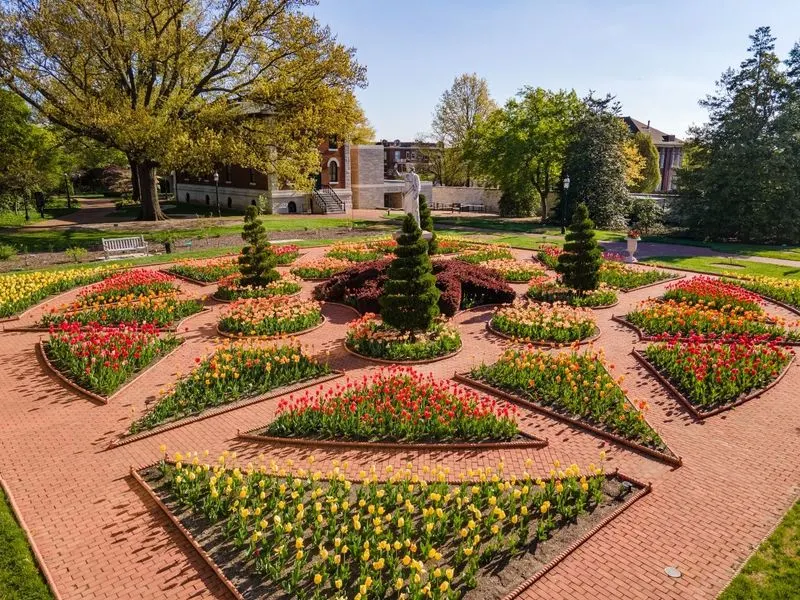 Victorian Gardens