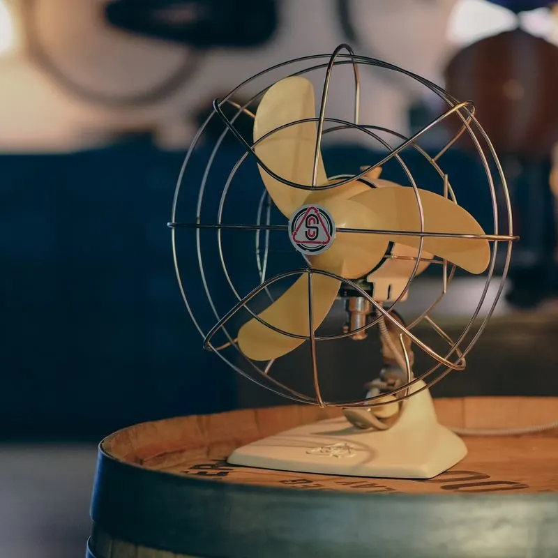 Vintage Fan