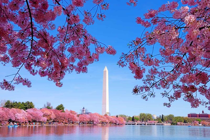 Washington D.C. - Tidal Basin