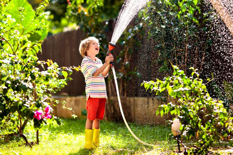 Watering Wisely