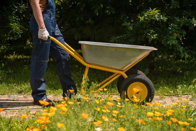 Wheelbarrow