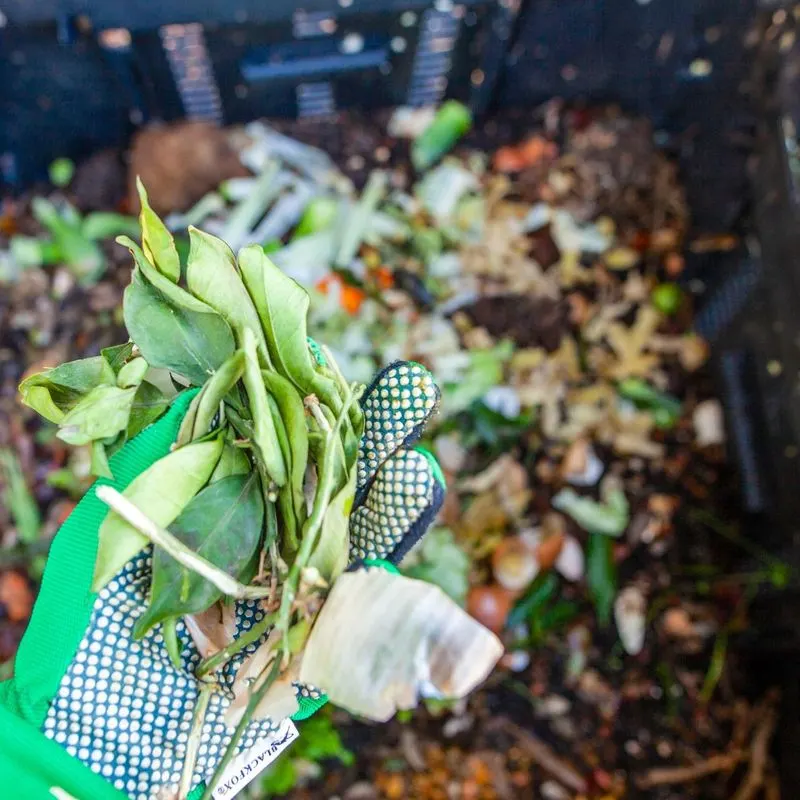 Winter Composting