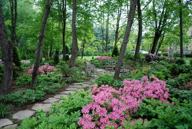 Woodland Garden