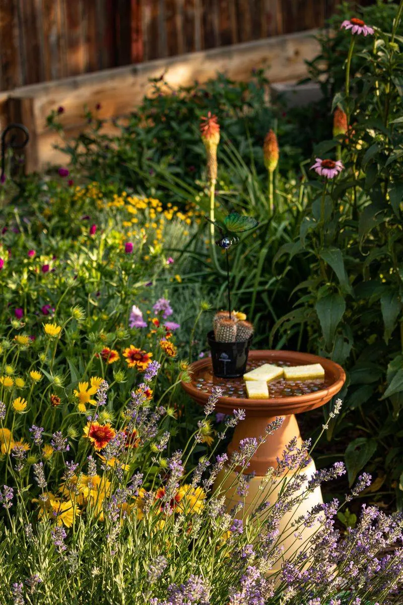 Zen Wildflower Garden