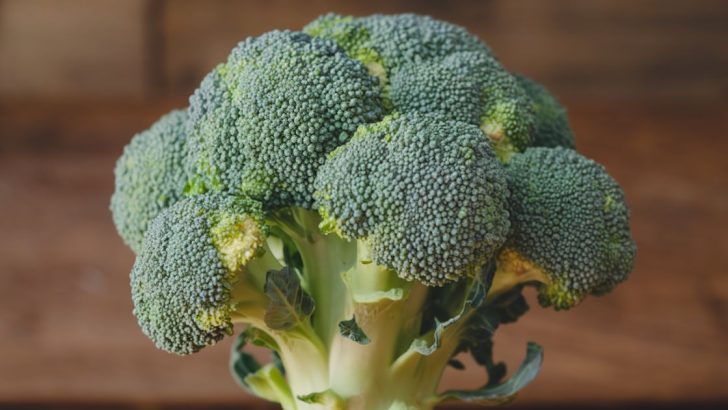 Broccoli Can’t Grow in the Wild (It’s Man-Made) and 8 More Incredible Plant Truths