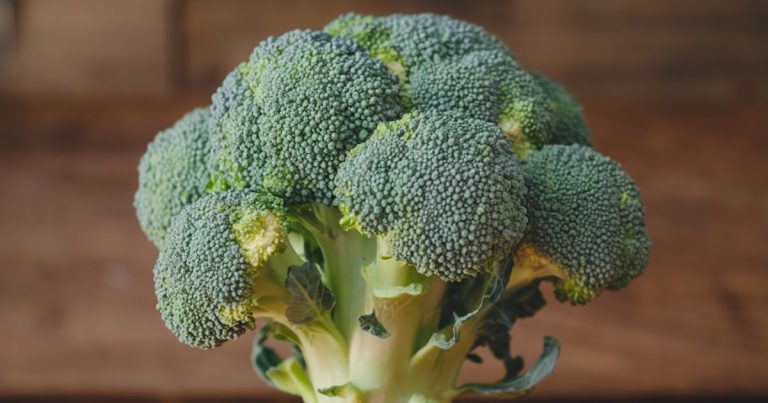 Broccoli Can’t Grow in the Wild (It’s Man-Made) and 8 More Incredible Plant Truths