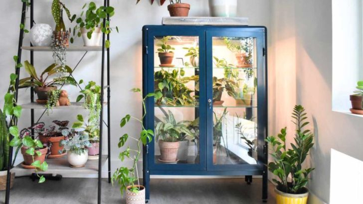 The 10 Most Productive Indoor Greenhouse Designs You’ll Want to Try