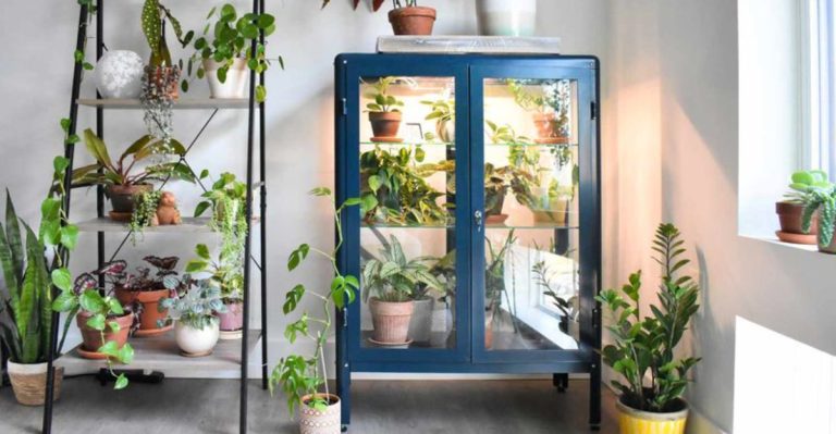 The 10 Most Productive Indoor Greenhouse Designs You’ll Want to Try