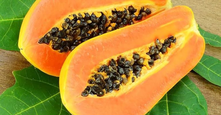 10 Exotic Fruits You Can Grow in Your Own Backyard