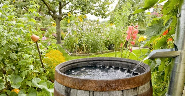 14 Sustainable Gardening Techniques That Save Water and Resources