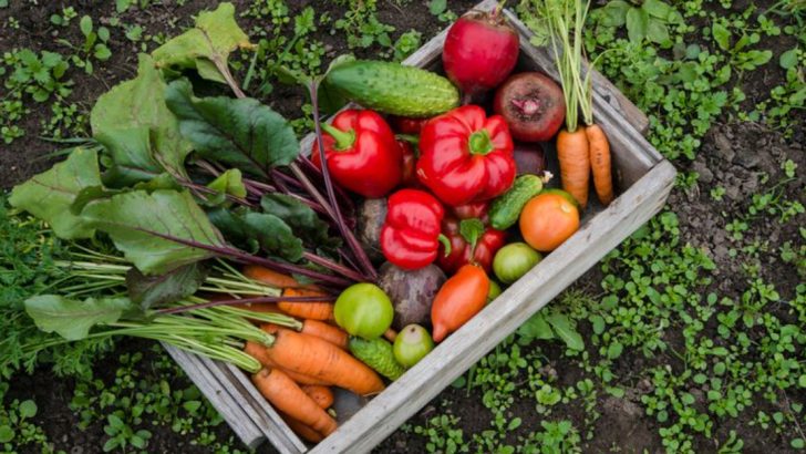 14 Smart Planning Tips to Grow Enough Food to Last for a Year