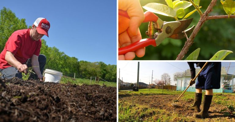 16 Essential Tasks to Get Your Garden Ready for a Blooming Spring