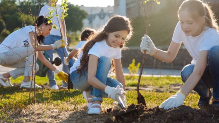 16 Surprising Benefits of Planting Trees You Probably Didn’t Know