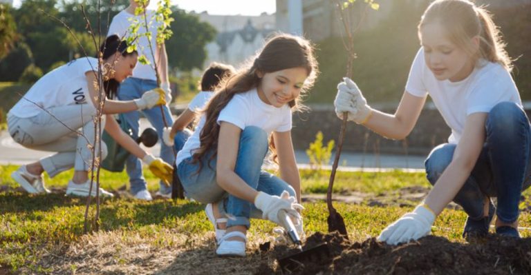 16 Surprising Benefits of Planting Trees You Probably Didn’t Know