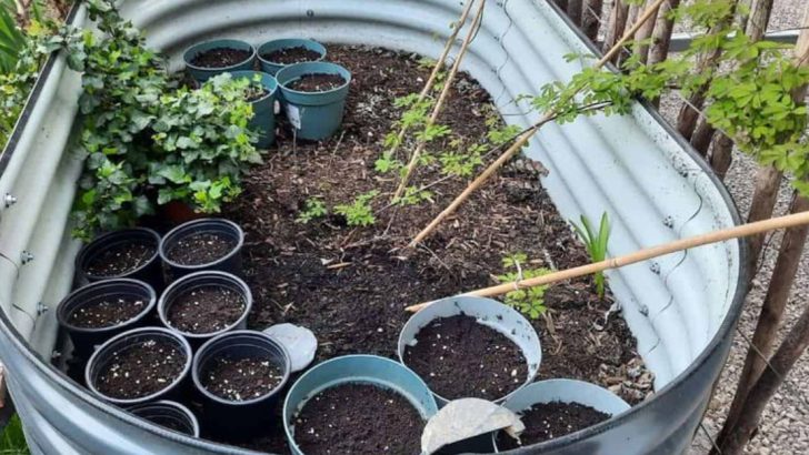 16 Best Ways to Fill a Raised Garden Bed for Maximum Harvest