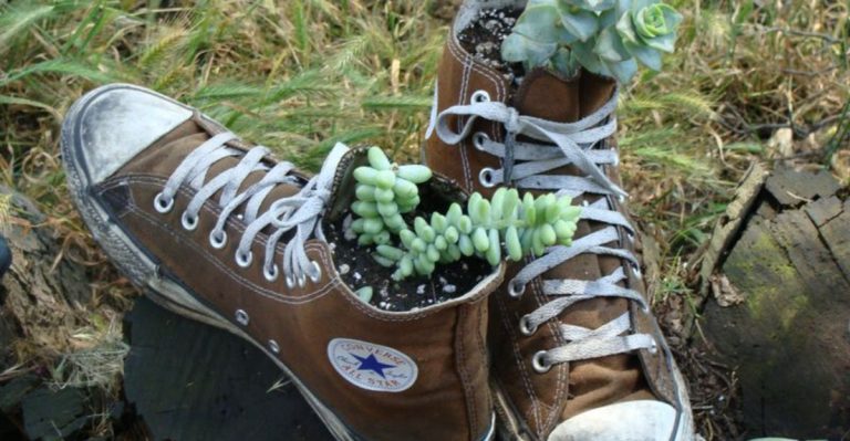 19 Clever Ways to Repurpose Household Waste in Your Garden
