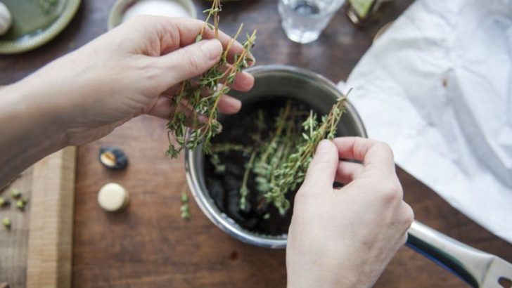 19 Easy-to-Grow Herbs That Every Home Cook Should Have