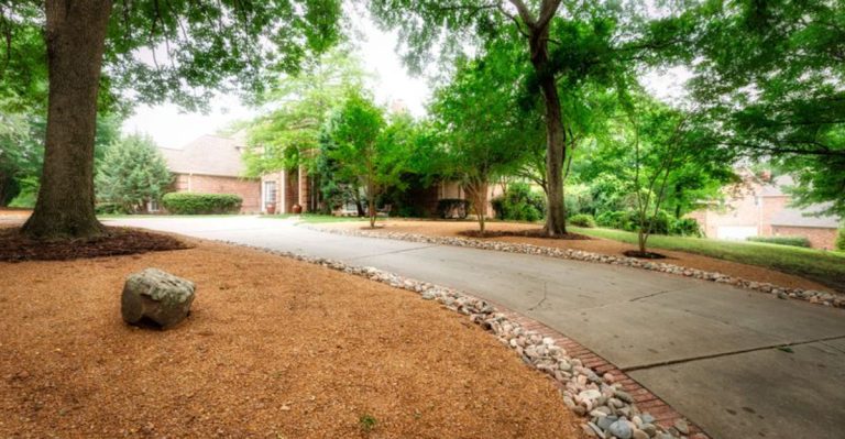 6 Natural Ways to Keep Snakes Out of Your Yard for Good