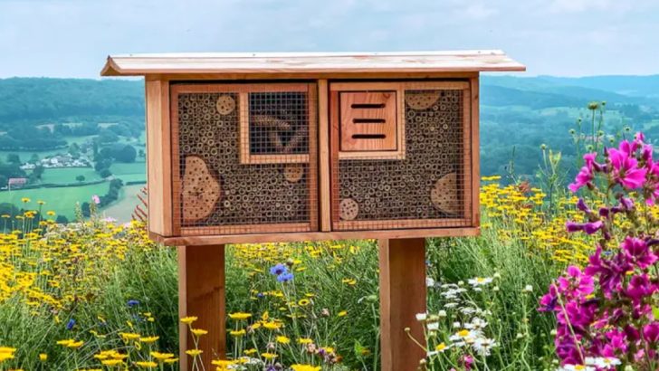 11 Ways to Create a Wildlife Haven Without Inviting the Wrong Guests