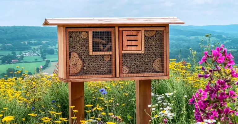 11 Ways to Create a Wildlife Haven Without Inviting the Wrong Guests
