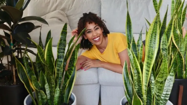 20 Plants That Help Keep Your Indoor Air Fresh and Healthy