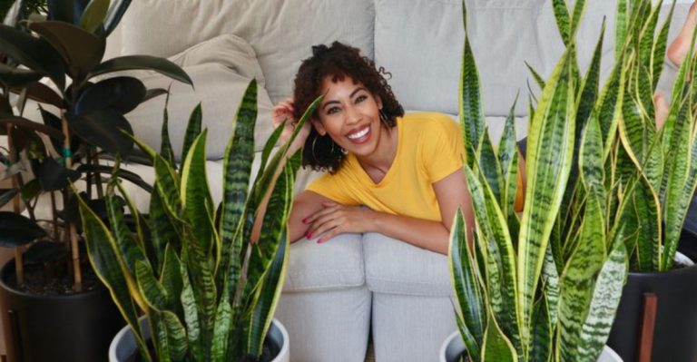 20 Plants That Help Keep Your Indoor Air Fresh and Healthy