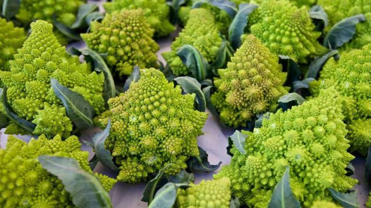 20 Unique Vegetables You’ve Probably Never Tried Growing