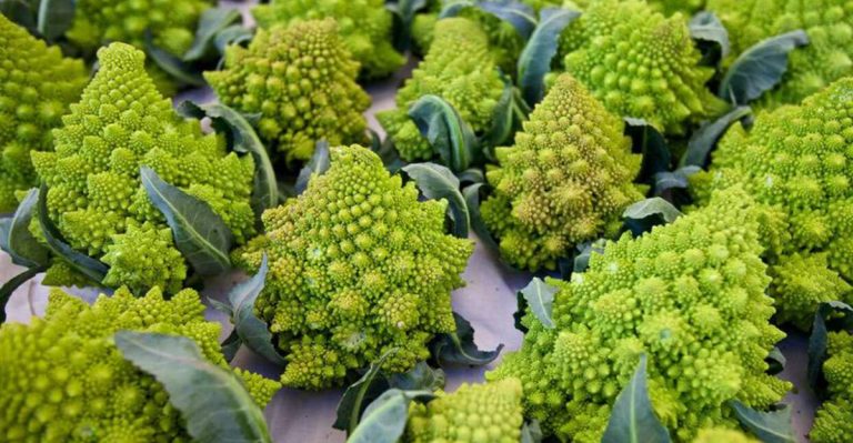 20 Unique Vegetables You’ve Probably Never Tried Growing