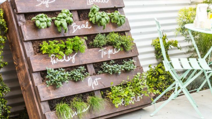 21 DIY Vertical Gardening Ideas for Small Spaces