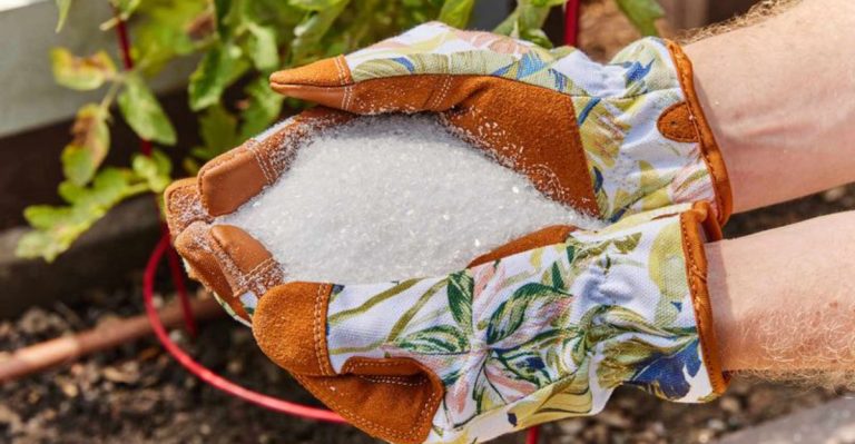 22 Natural Pest Control Tactics for a Chemical-Free Garden