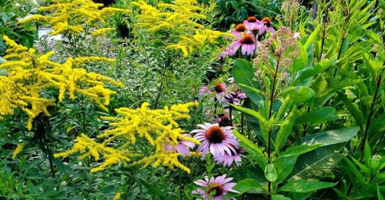 22 Ways to Make Your Garden a Magnet for Wildlife This Season