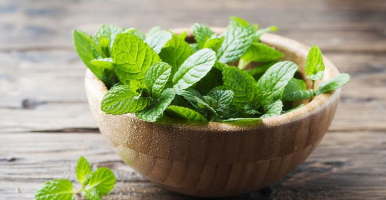 24 Essential Herbs Every Gardener Should Grow