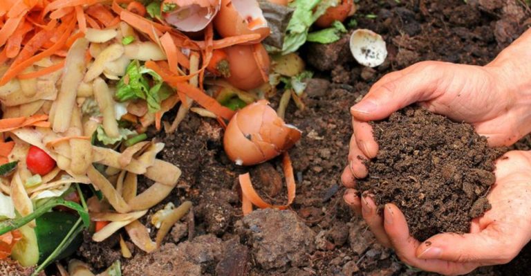 18 Gardening Activities That Boost Mental Health and Relieve Stress
