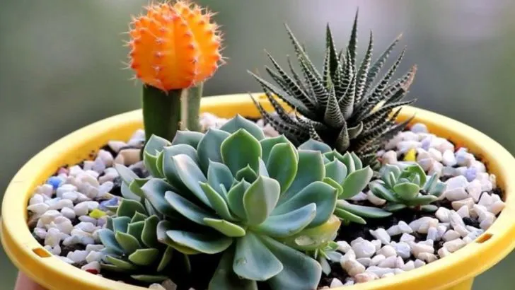 26 Therapeutic Gardening Activities for Mental Well-being