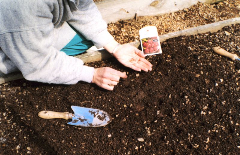 Adding Sand to Clay Soil Helps Drainage