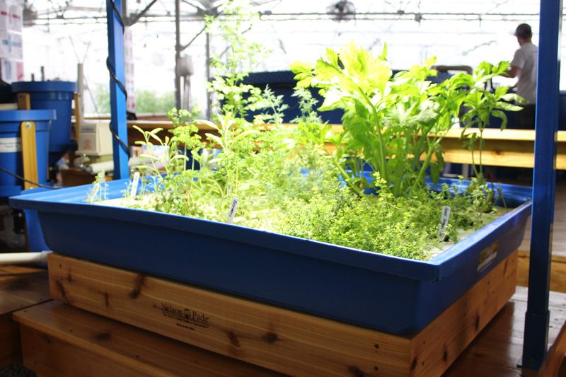 Aquaponics Systems