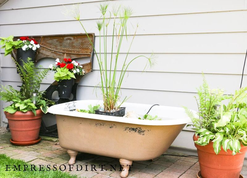 Bathtub Water Garden