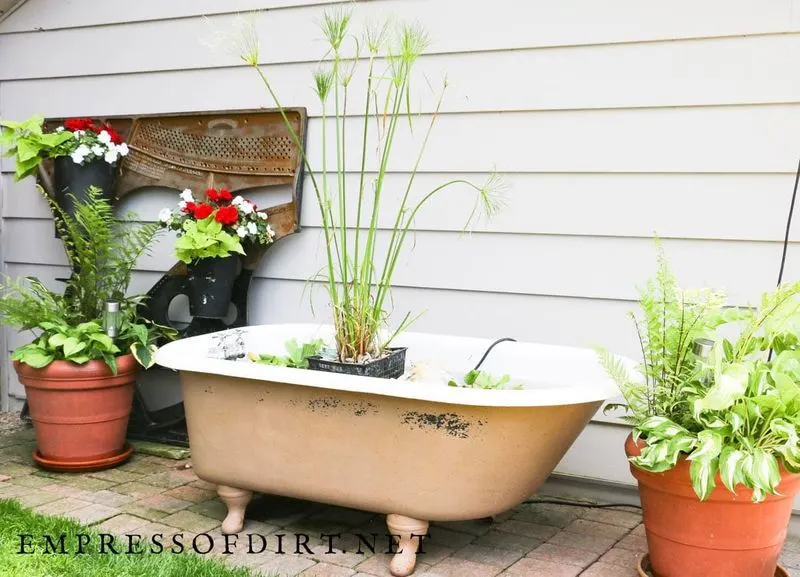 Bathtub Water Garden