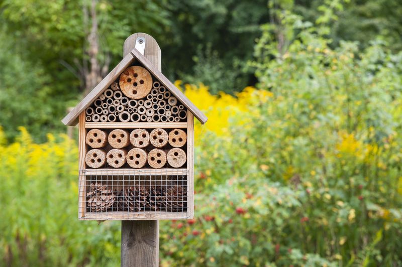 Bee Hotel Installation