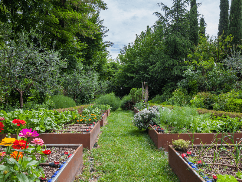 Biodynamic Gardening