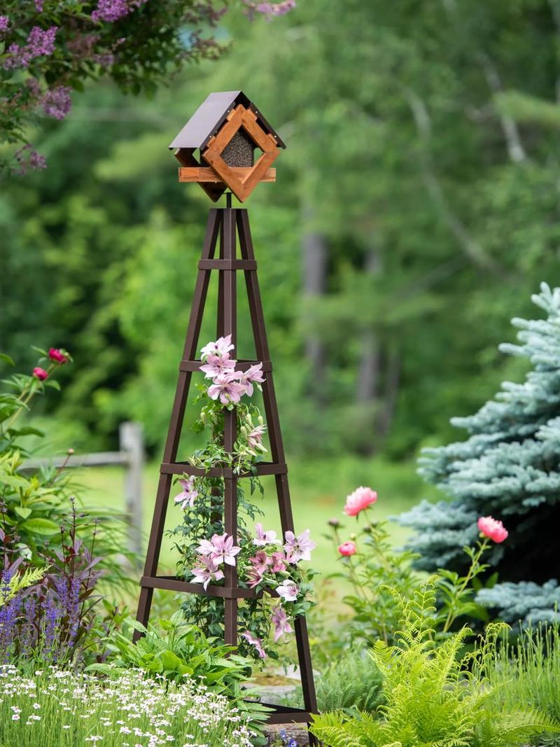 Bird Feeders with Guards