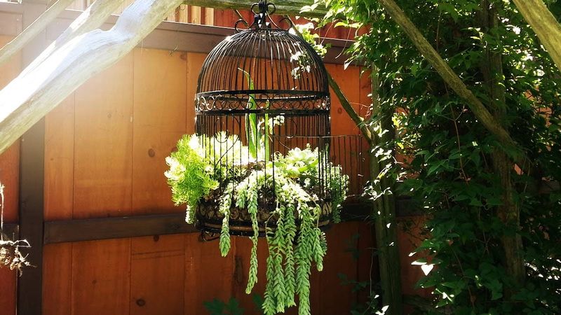 Birdcage Hanging Planter