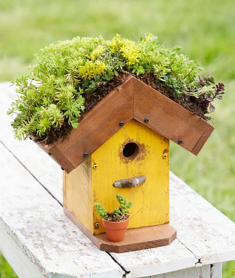 Birdhouse Building