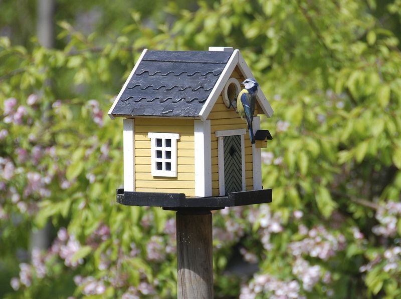 Birdhouses