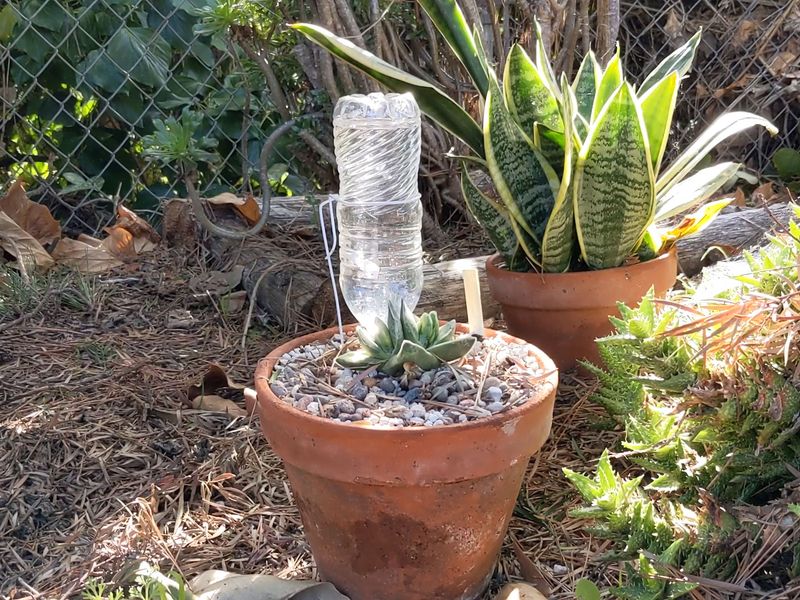 Bottle Garden Irrigation