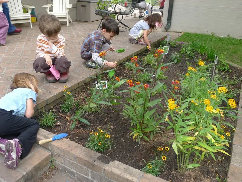 Butterfly Garden