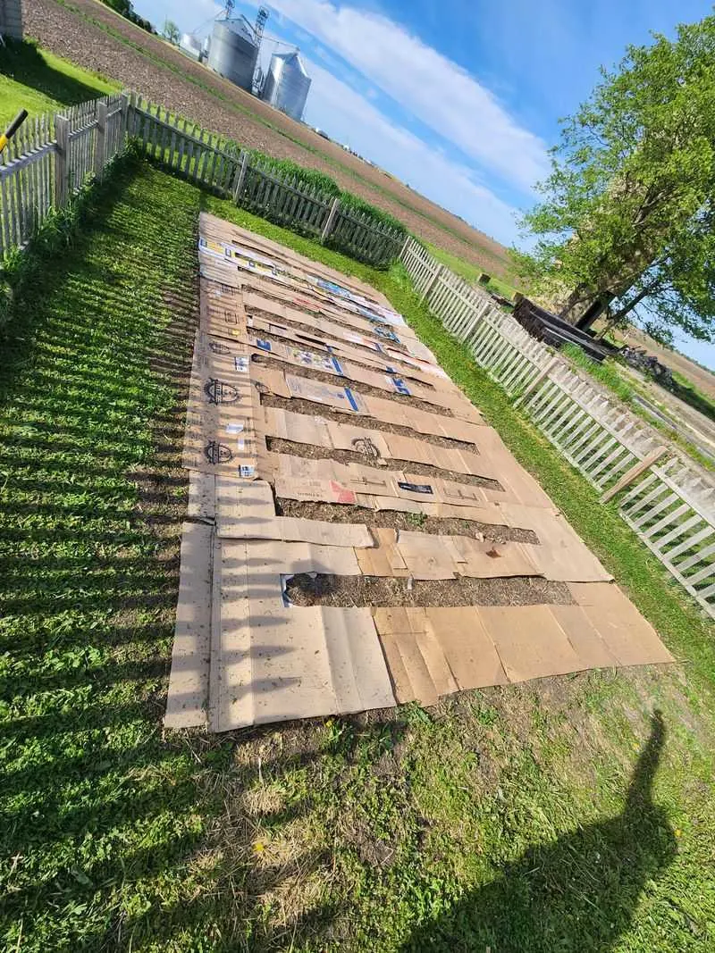 Cardboard Weed Barrier