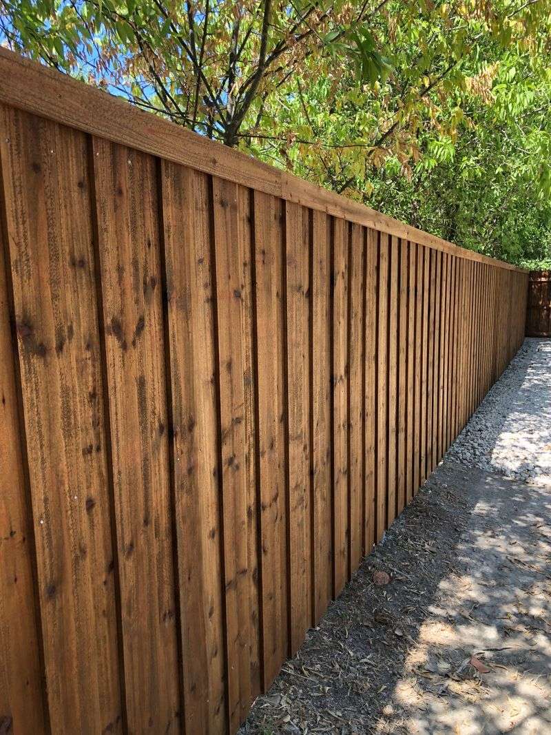 Cedar Fence