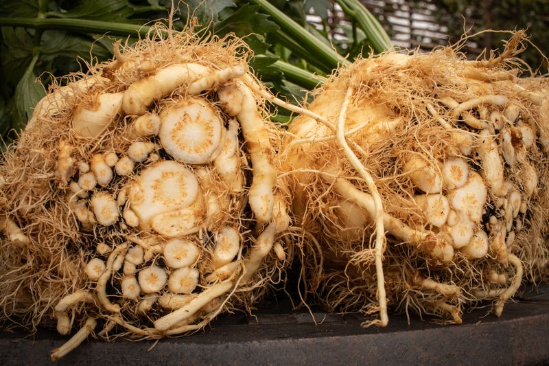 Celeriac