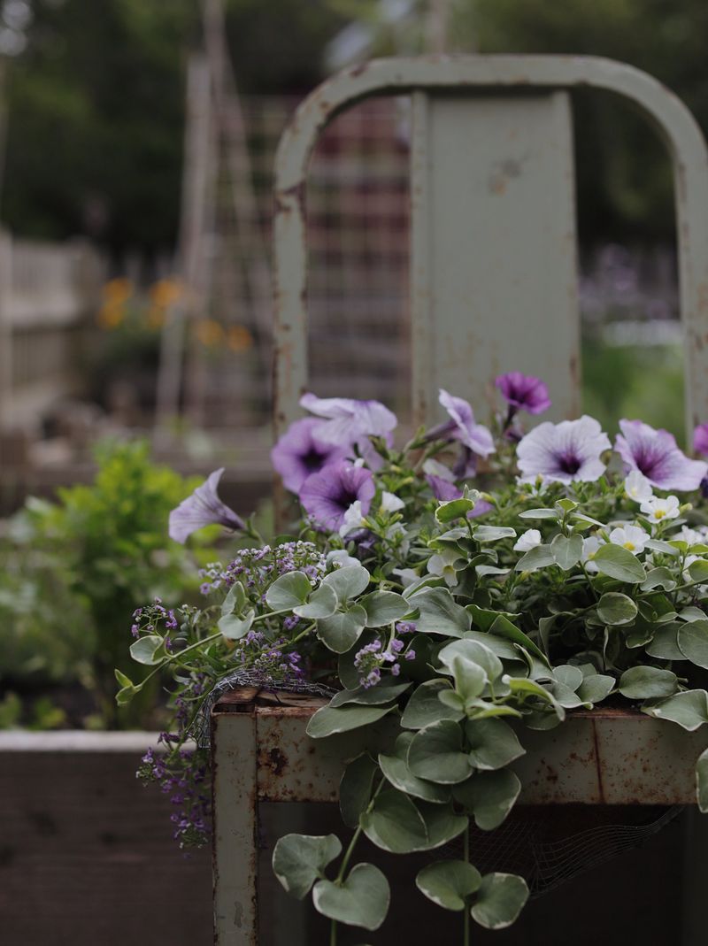 Chair Planter